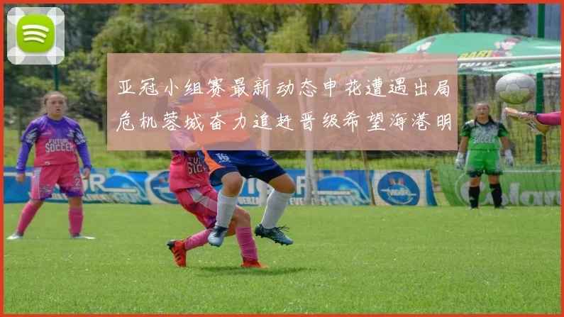 亚冠小组赛最新动态申花遭遇出局危机蓉城奋力追赶晋级希望海港明日迎战挑战