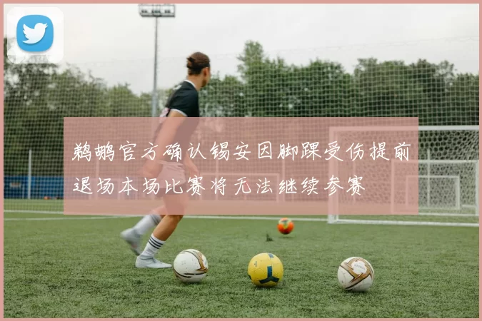 鹈鹕官方确认锡安因脚踝受伤提前退场本场比赛将无法继续参赛